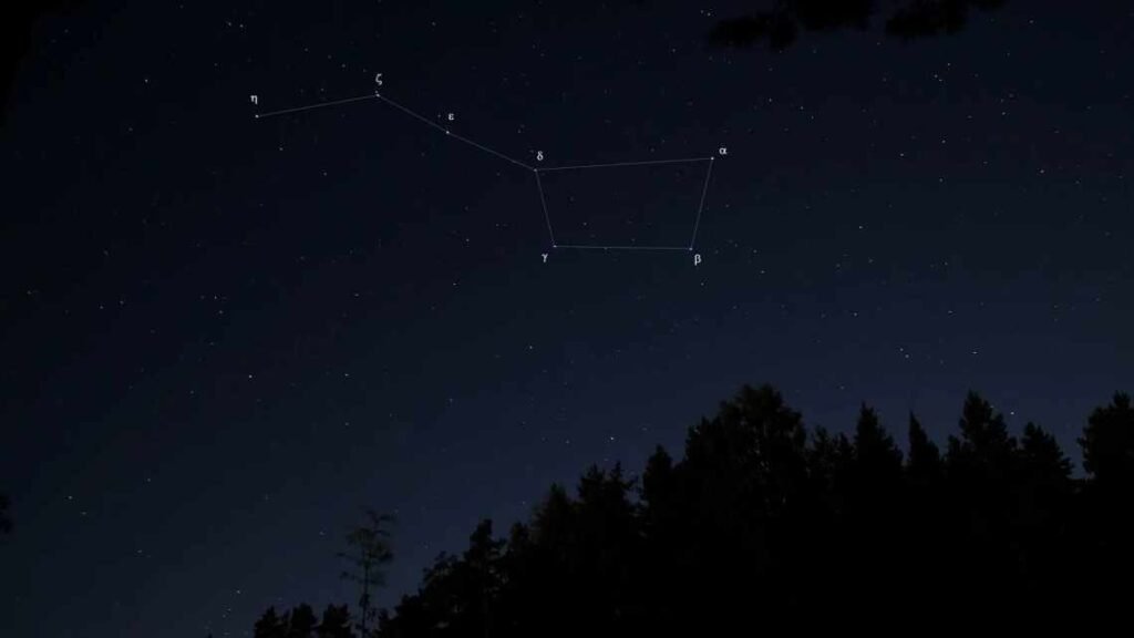 велика ведмедиця