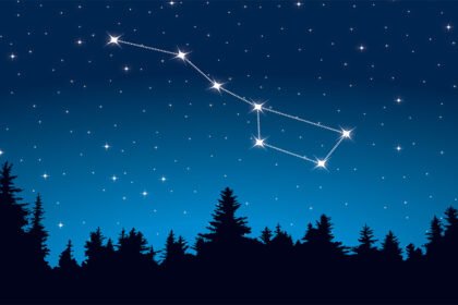 велика ведмедиця