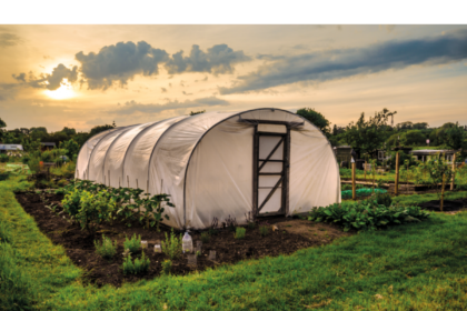 пленка для теплиц