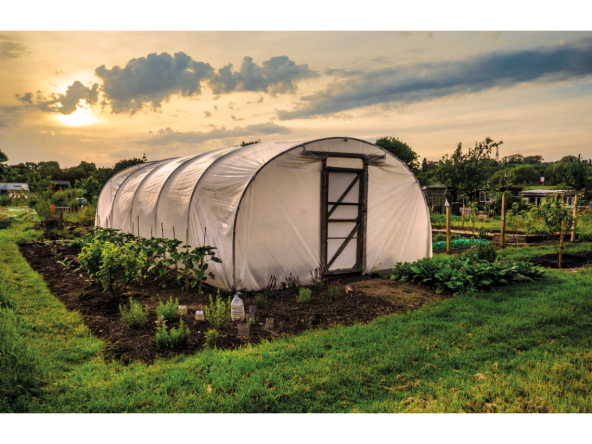 пленка для теплиц